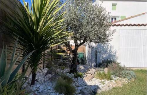 Capestang Casa | Rêve Capestanais - B&B avec Piscine