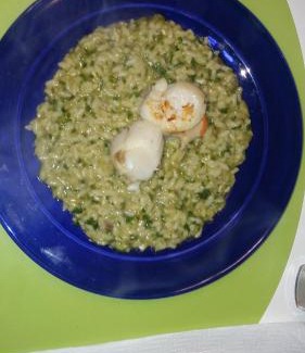 Ferrara Cama Y Desayuno | R&B un mondo a colori