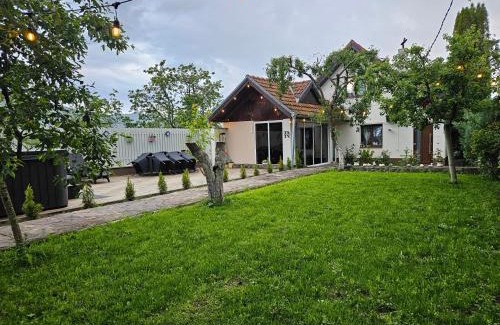 Cisnadioara Villa | Raim Haus