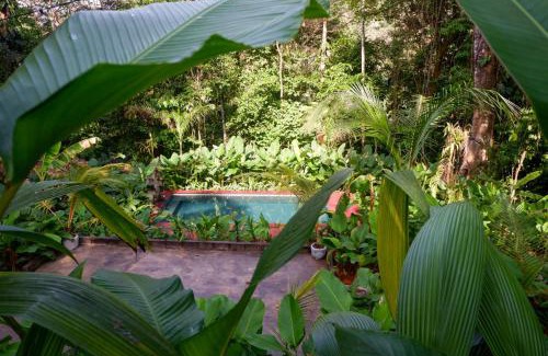 Palma Quemada Cabina | Rainbow Lodge Costa Rica