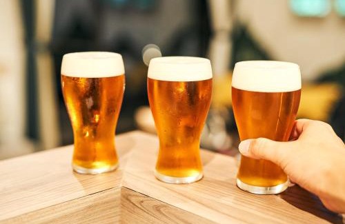 Nikko Apartamento | Rakuten STAY Nikko Hoden