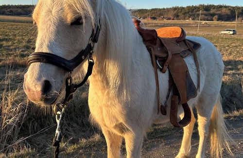 Saro Cama Y Desayuno | RanchJohanna