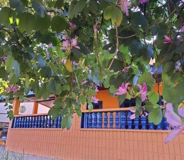 Paranapanema Casa | Rancho do Roque Bravo (Riviera de Sta. Cristina XIII)