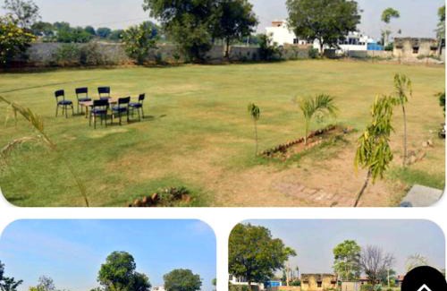 Sawai Madhopur Complejo | Ranthambore Bagh niwas