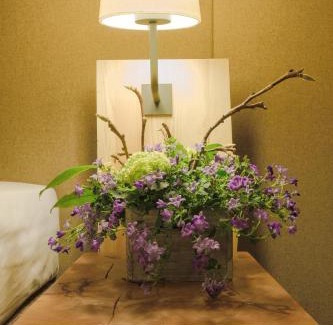 Wilhelmsburg Hotel | Raphael Hotel Wälderhaus