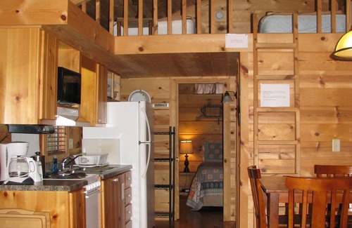 Altamont Cabina | Acogedor 1BR 'Real Log Cabin' w / Hot Tub en el río Linville (para 6 personas)