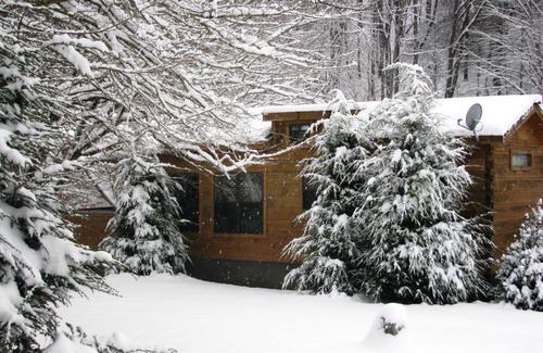 Altamont Cabina | Acogedor 1BR 'Real Log Cabin' w / Hot Tub en el río Linville (para 6 personas)