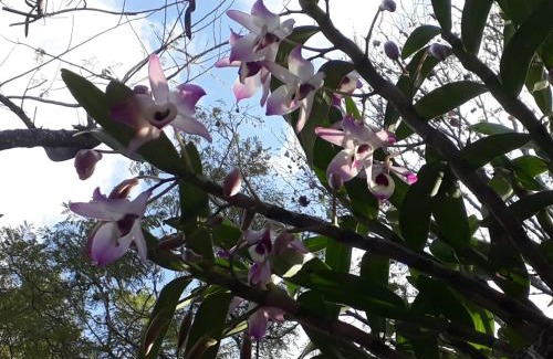 Jardim America Casa | Recanto Green