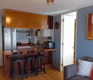 Downtown Santiago Apartamento | Recoleta Urban Suite