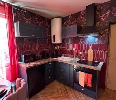 Chateauroux Apartamento | RED SPARROW -T2 avec jacuzzi