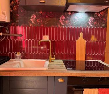 Chateauroux Apartamento | RED SPARROW -T2 avec jacuzzi