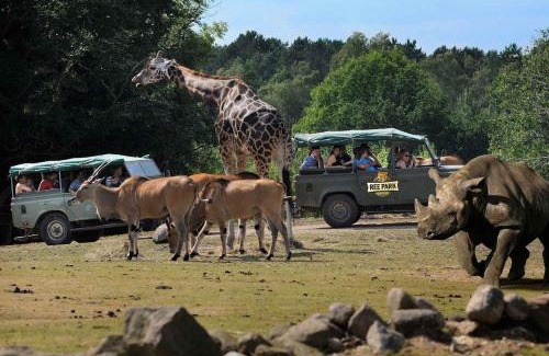 Ebeltoft Casa | Ree Park Safari