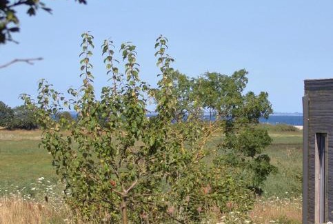 Nieby Casa | Reetdorf Geltinger Birk Künstlerkate Zwergbirke