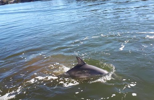 South Yunderup Apartamento | Reflections top floor apartment on the Murray river near Mandurah