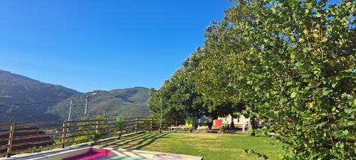Bico Casa | Refugio dos Cartolas