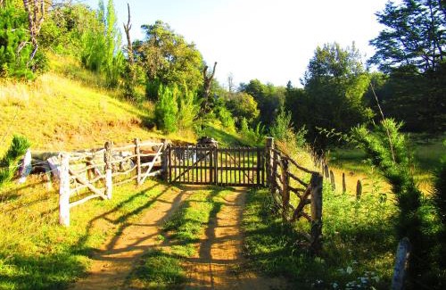 Curacautin Casa | Refugio Montaña Kultrun Mawida, Mini-Cabaña con baño y cocina privada