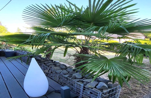 Pracht Apartamento | Apartamento regio en Pracht con jardín y parrilla