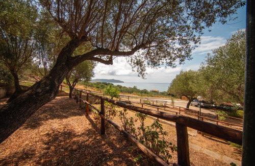 Marina di Pisciotta Otro | Regina Villaggio Camping