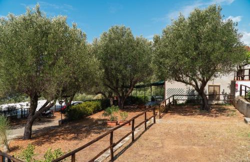 Marina di Pisciotta Otro | Regina Villaggio Camping
