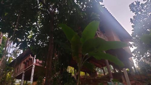 Ranong Complejo | Relax House