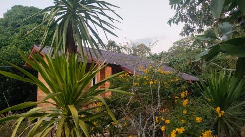 Ranong Complejo | Relax House