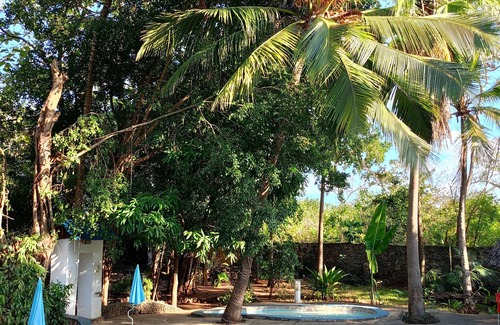 Kwale Apartamento | Relax in Paradise: Diani Peaceful Garden, Your Peaceful Beach Getaway