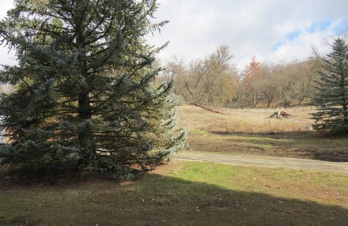 California Hot Springs Casa | ¡Tu propio bosque de pinos privado!