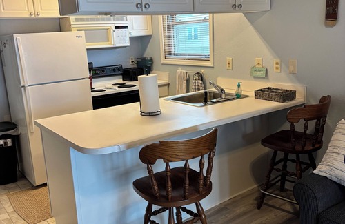 Oak Harbor Condominio | Relaxing 2 bedroom Lake Erie Condo with dock in Oak Harbor