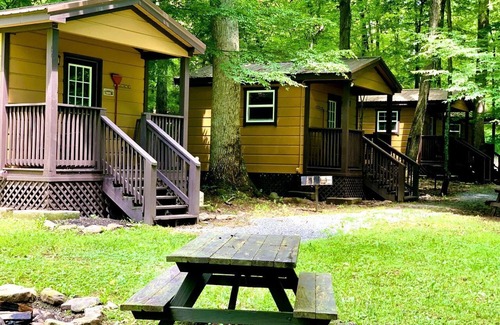Valley Head Cabina | Relaxing Tiny Cabin with Outdoor Fire Ring in West Virginia