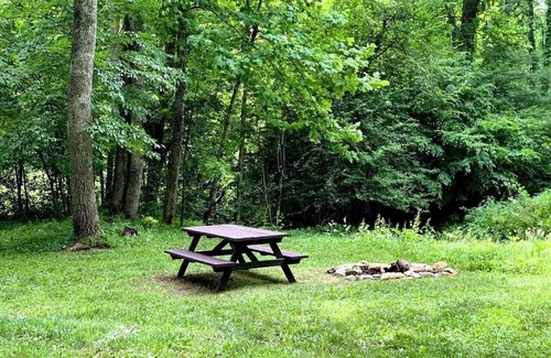 Valley Head Cabina | Relaxing Tiny Cabin with Outdoor Fire Ring in West Virginia
