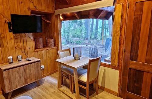 Puerto Manzano Apartamento | Remanso del Bosque Loft Cauquen, Bahía Manzano