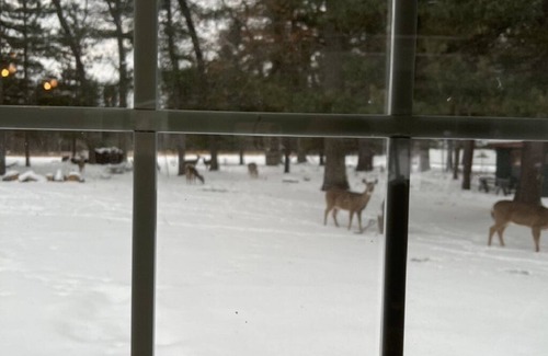 Grayling Casa | Remodeled House 1 mile to town.