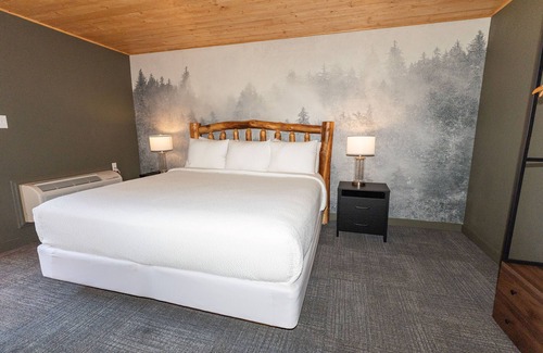 Townsend Hotel | Renovated King ADA Pet-Friendly room