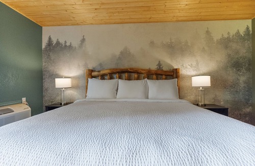 Townsend Hotel | Renovated King ADA Pet-Friendly room