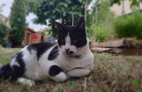 Villeneuve-les-Maguelone Casa | Alquiler de casa duerme 11 disponibles del 25/07 al 17/08