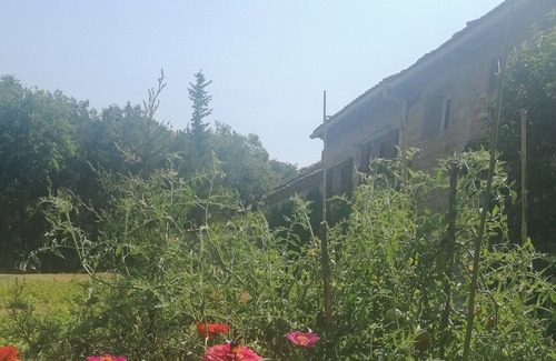 Sarrians Cabaña | Rental & Gîte