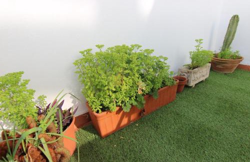 San Lorenzo Apartamento | RentalSevilla Guadalete II