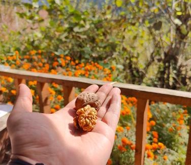 Kasol Casa | Renuka homestay and cafe