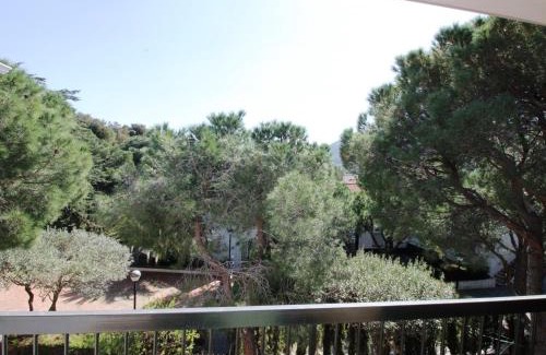 Llanca Apartamento | RES. PLATJA MORÉ II/4 - Amplio apartamento lluminós y ajardinado a 100 metros de la playa. - ES-228-5