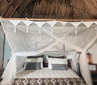 Palomino Hotel | Reserva Natural El Matuy