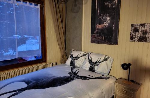 La Bresse Apartamento | RESIDENCE BELLE HUTTE COTÉ PISTES DE SKI 2