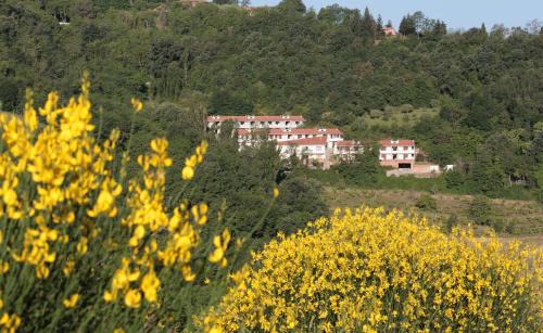 Urbino Apartamento | Residence Città Ideale