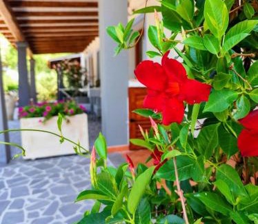 Dorgali Casa | Residenza di Campagna Dolmen Motorra