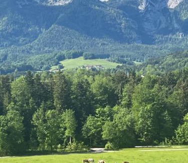 Siegsdorf Apartamento | REST - Ferienwohnung "Sonnenblume" mit schönem Bergpanorama - ab Mai Chiemgaukarte NEU!