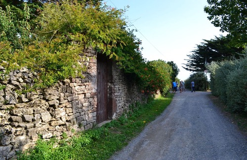 Sainte-Marie-de-Re Cabaña | Restauradas viñedos bodega viejos y mar