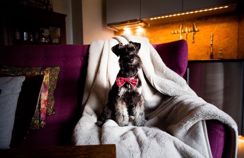 Cottered Casa | Retreat - Bethnal