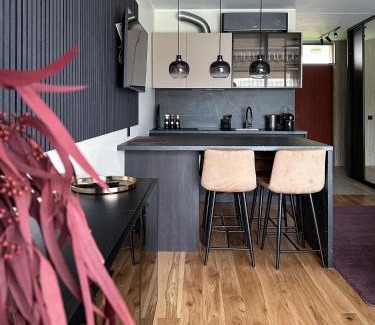 Parnu Apartamento | RG Aisa Apartment