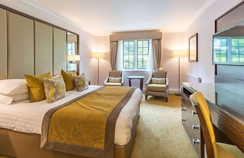 New Forest District Hotel | Rhinefield House Hotel