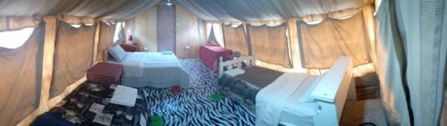 Maasai Mara Cama Y Desayuno | Rhino hillside