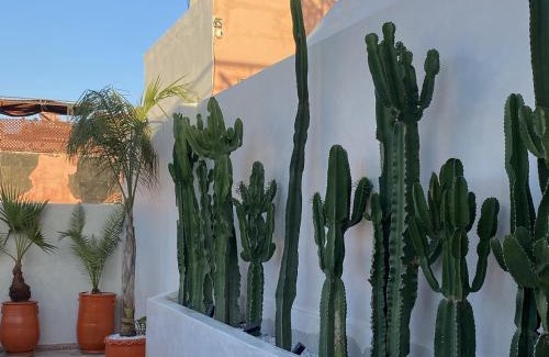 Medina Casa | Riad Oasissime